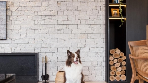 projeto_apartamento_decorado_projeto_arquiteto_larissa_bassi_porto_alalegre_moderno (63)